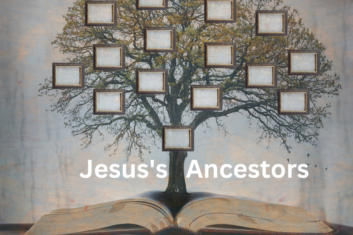 Jesus's Family Tree